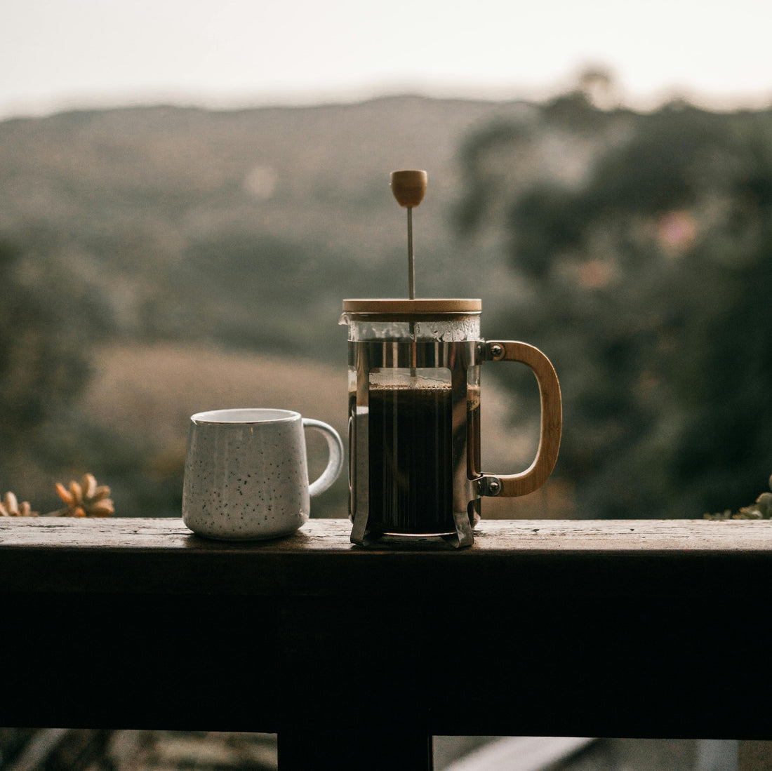 How to Brew the Perfect Cafetière Coffee (French Press)